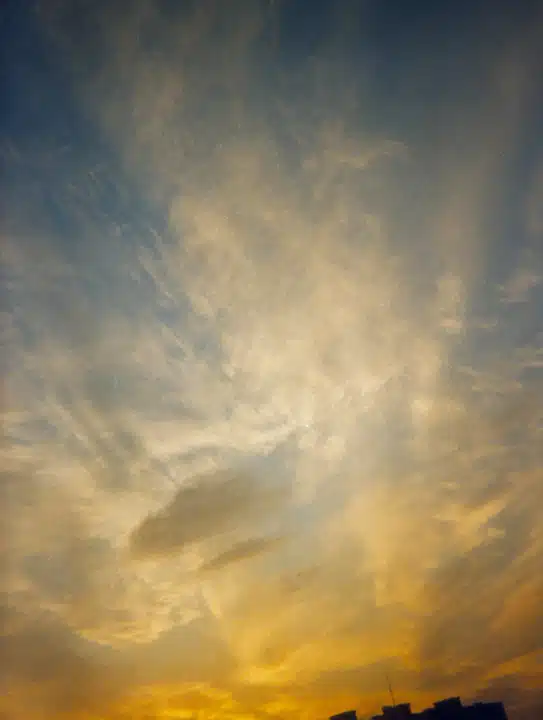 Sunburst